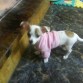 con su sudadera rosa =)